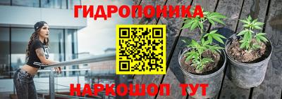 стаф Апшеронск