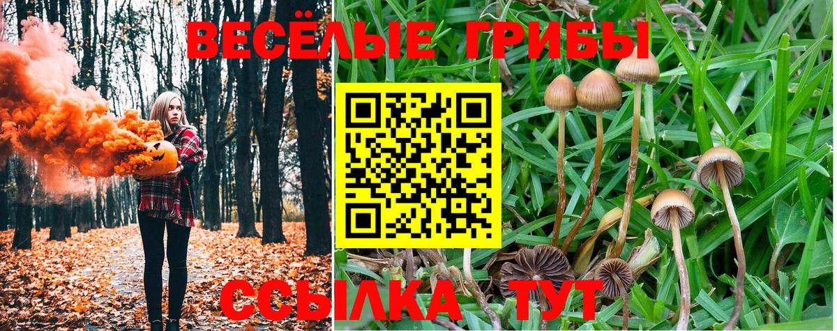 Воткинск  Галлюциногенные грибы Magic Shrooms  Вход с VPN 