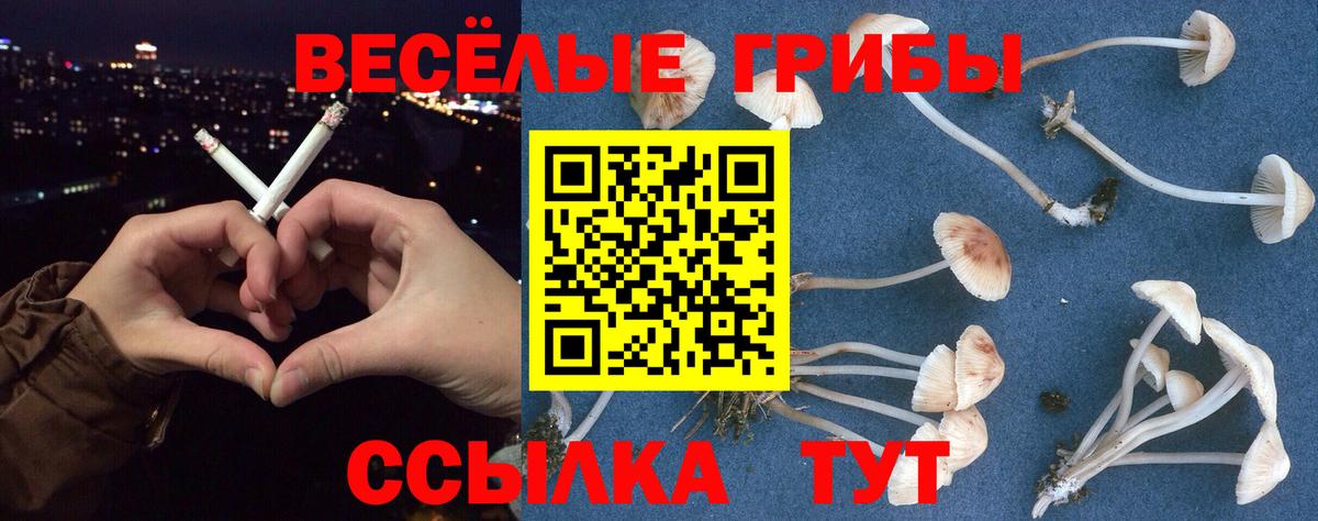 Конопля  Воткинск  A-PVP СК   Кокаин  Где купить  Вход с VPN  Гашиш  Меф МЯУ МЯУ кристаллы  МДМА 
